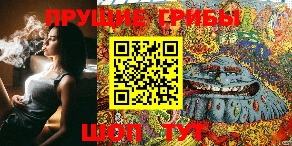 Гудермес  Псилоцибиновые грибы Cubensis  Вход с VPN  Галлюциногенные грибы MAGIC MUSHROOMS 
