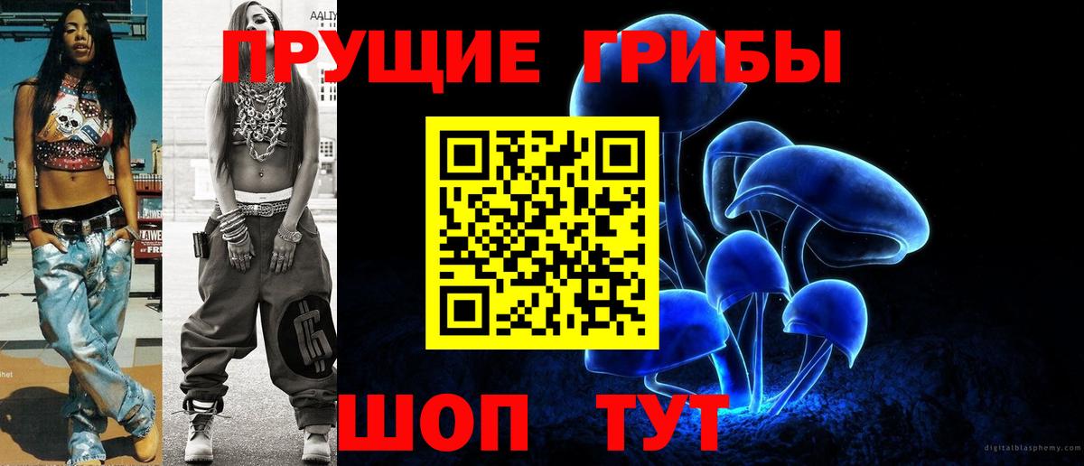 Псилоцибиновые грибы мицелий Гудермес
